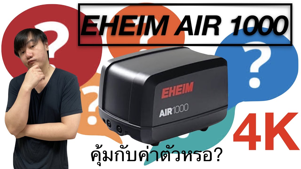 Review EHEIM AIR 1000