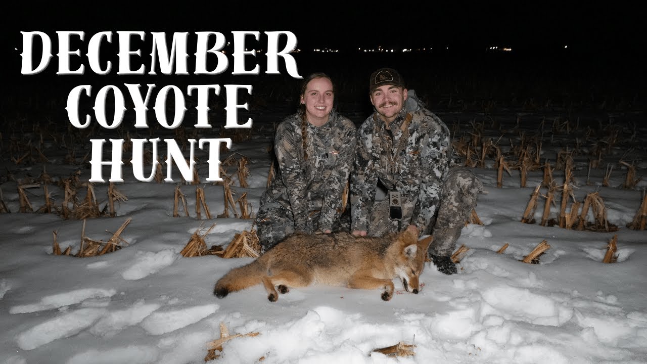 Coyote Hunting with the Fox Pro Hellcat Pro & AGM Rattler v2 25-256!