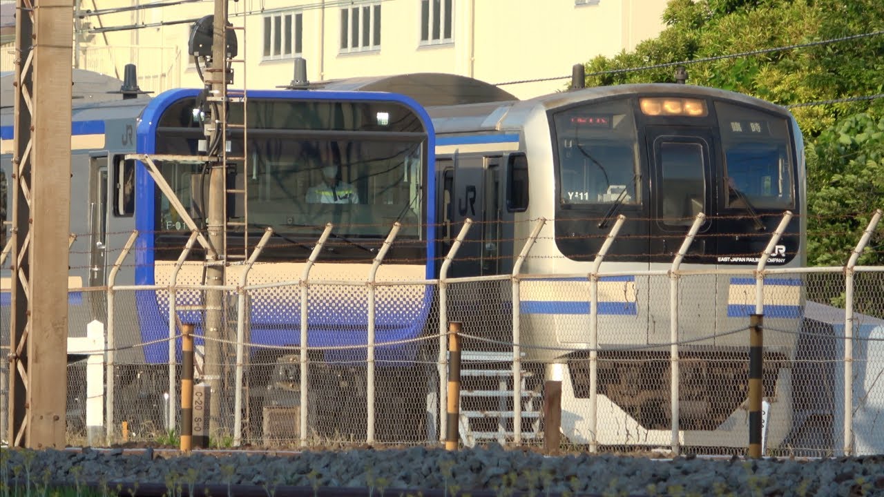 【1000番台登場】EF64 1030牽引 横須賀線・総武快速線E235系クラF-01編成（基本編成）配給・鎌倉車両センター内入換【E217系との並びも】2020.6.8