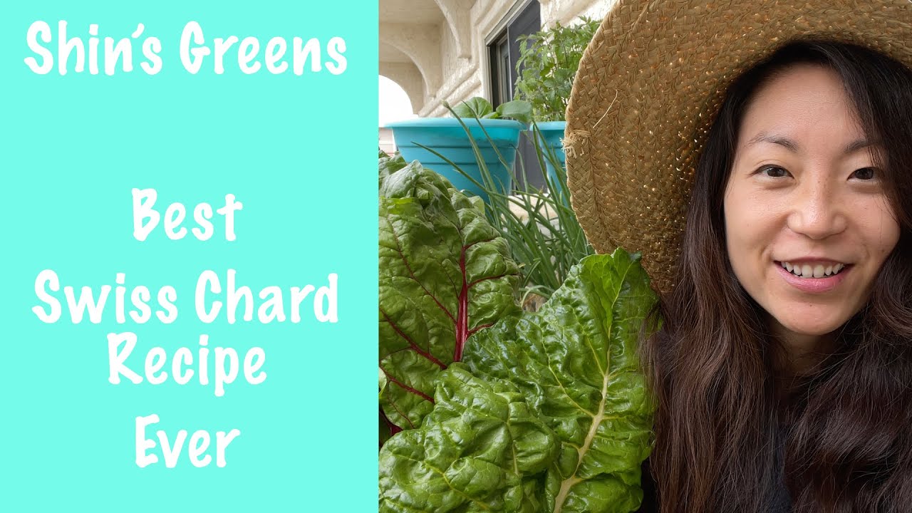 Shin's Greens - How do you cook all that Swiss chard?! My favorite recipe