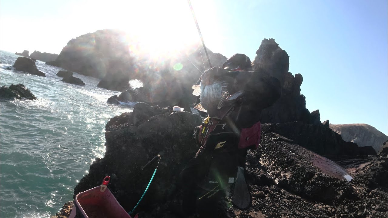 輕裝磯釣 羅漢坪天氣潮汐拿捏正確 綜合池什麼魚都有-石鯛 鱸魚 白格 黑毛 黑格 版頭 臭肚 烏魚 石狗 雀鯛等