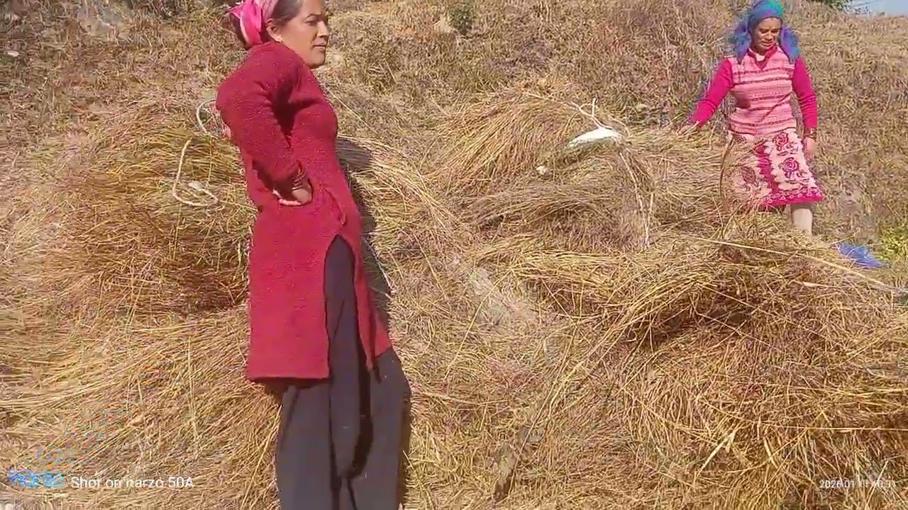 क्यों बेचैन हो गई हमारे गांव की औरतें 