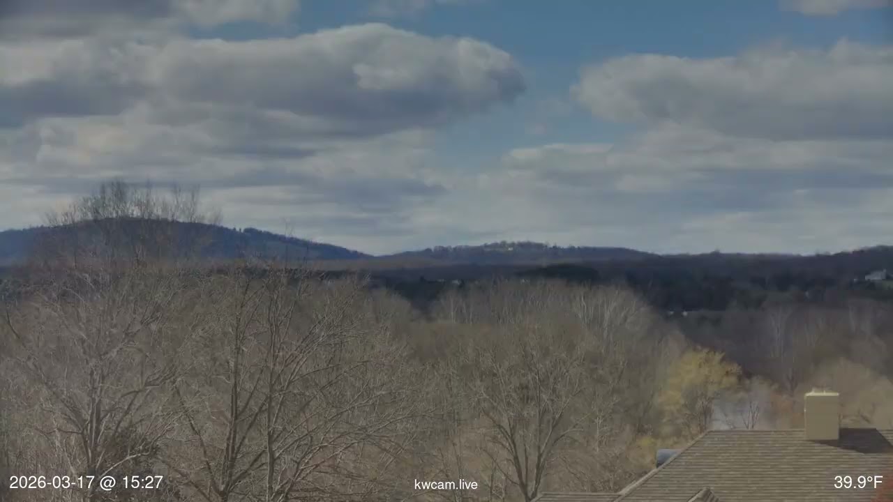2026-03-17 Daily timelapse
