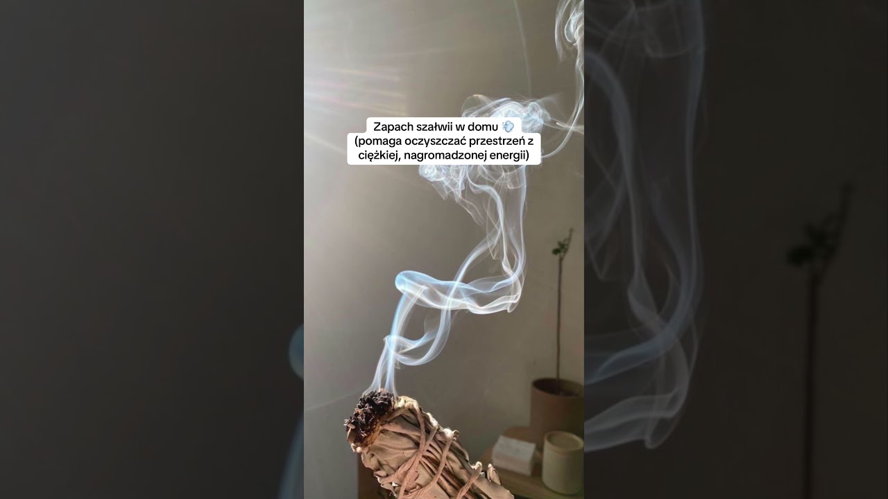 Какие ещё чит-коды вы знаете и используете? Подписывайтесь на меня, если хотите... 👇