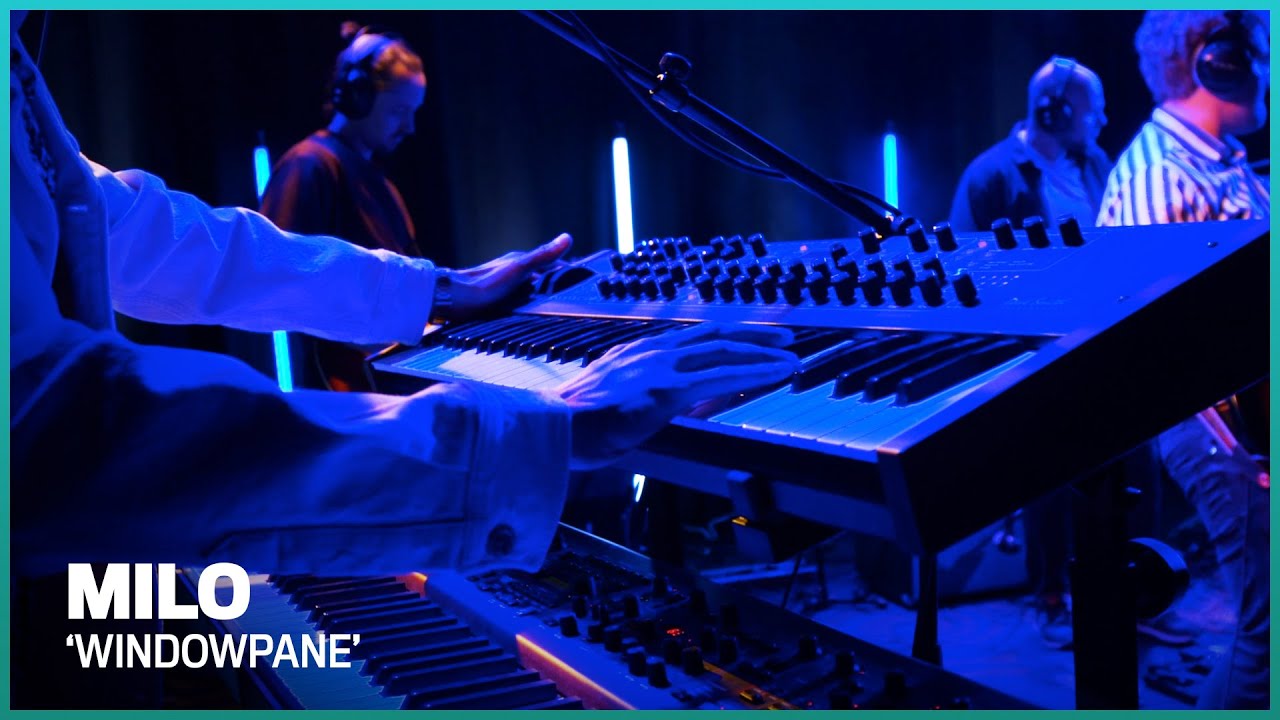 MILO - Windowpane - Frequenzy sessions