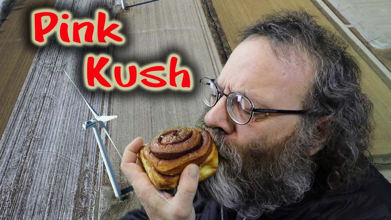 Pot Strains - Pink Kush a nice body buzz