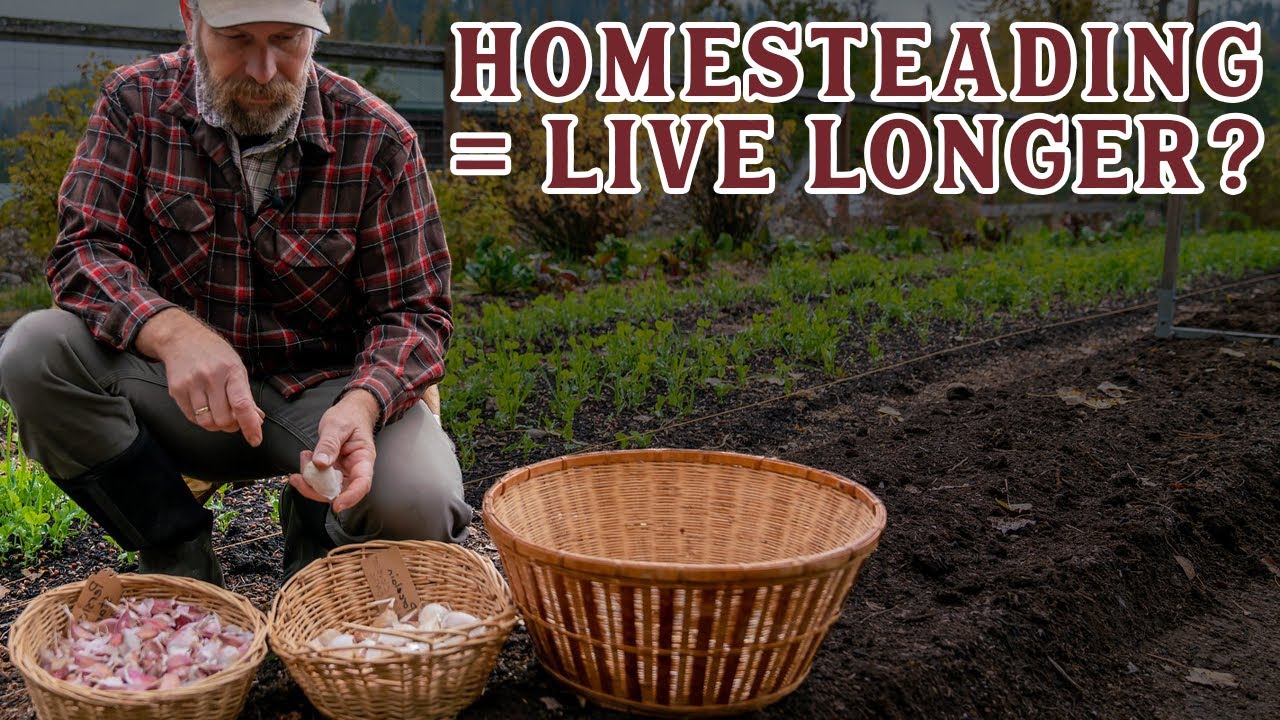 PODCAST: Do THIS to live Healthier, Longer Lives with Homesteading (Pantry Chat with Shelby Devore)