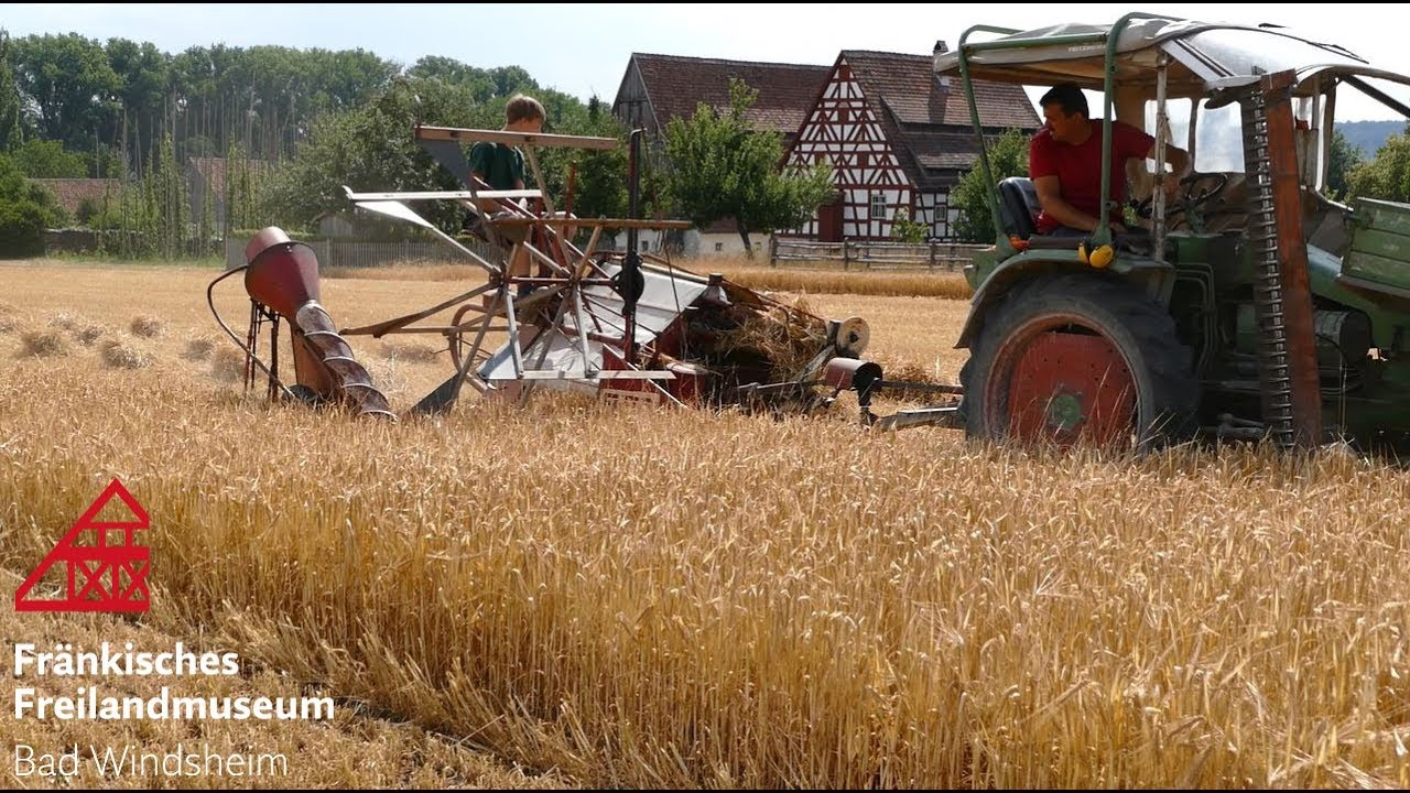 Getreideernte im Fränkischen Freilandmuseum