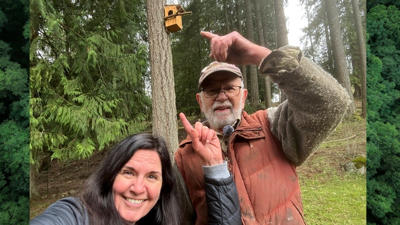 Barred Owl Nesting Box Installation | Pond House Garden  #pondhousegarden #barredowl #owl #owlhouse