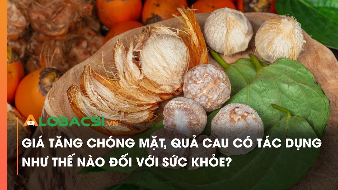 Giá tăng chóng mặt, quả cau có tác dụng như thế nào đối với sức khỏe? | Video Alobacsi