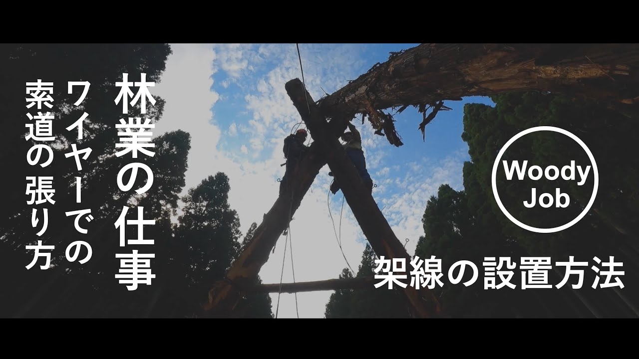 【林業の仕事】ワイヤーでの索道の張り方〜架線の設置方法〜