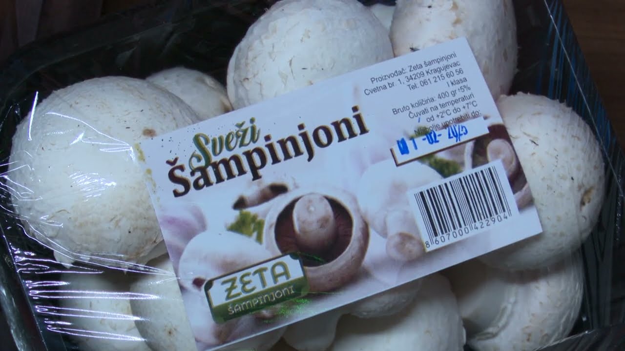 Proizvodnja šampinjona kao održiva biznis ideja