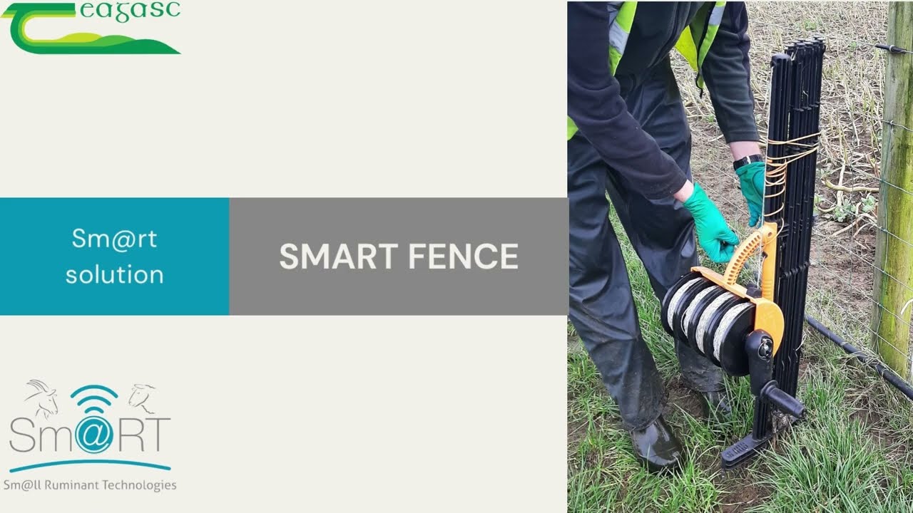 Ireland Sm@rt video: Smartfence