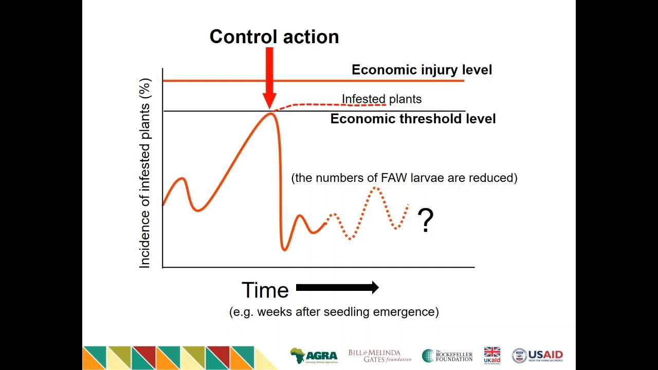 M4 Recorded Presentation   Economic and Action Thresholds HD