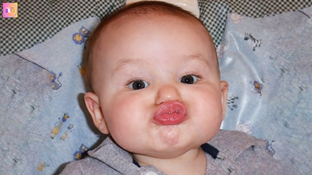 😂 The Best Funny Baby Video of the Week That Will Make You LOL – Can't Miss Moments!