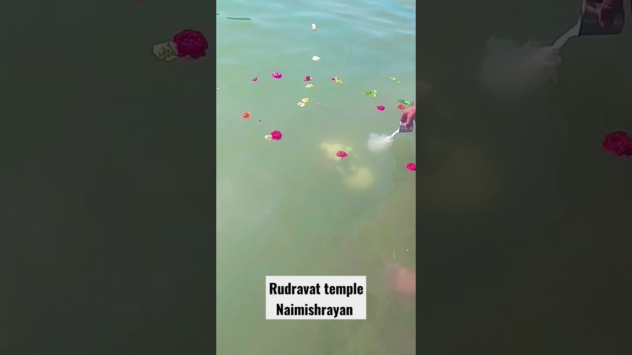 rudravart mahadev sitapur|naimishrayan #shorts #vlogs #travelvlog #sitapur #temple