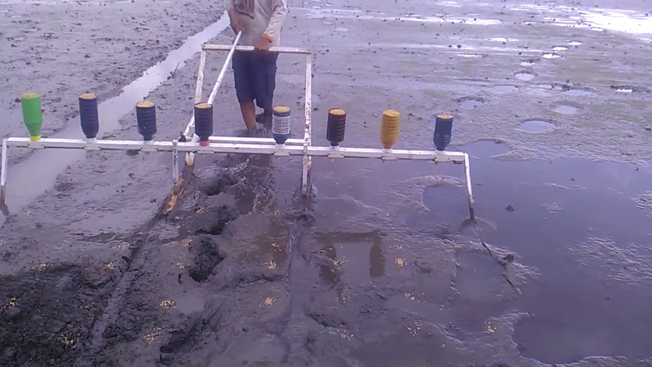 Alat penabur benih padi dan penggunaannya,