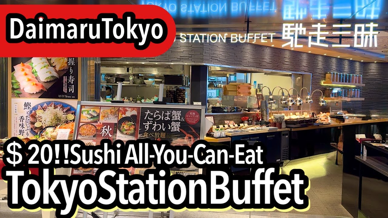 Tokyo Travel Guide: Best Tokyo Station Buffet & Japanese Food Vlog