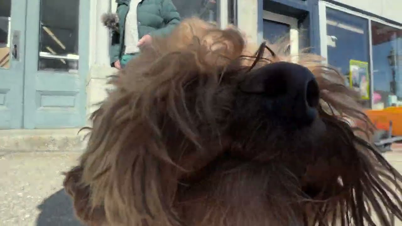 April 10, 2025 - Belfast, Maine - Gimbal Test