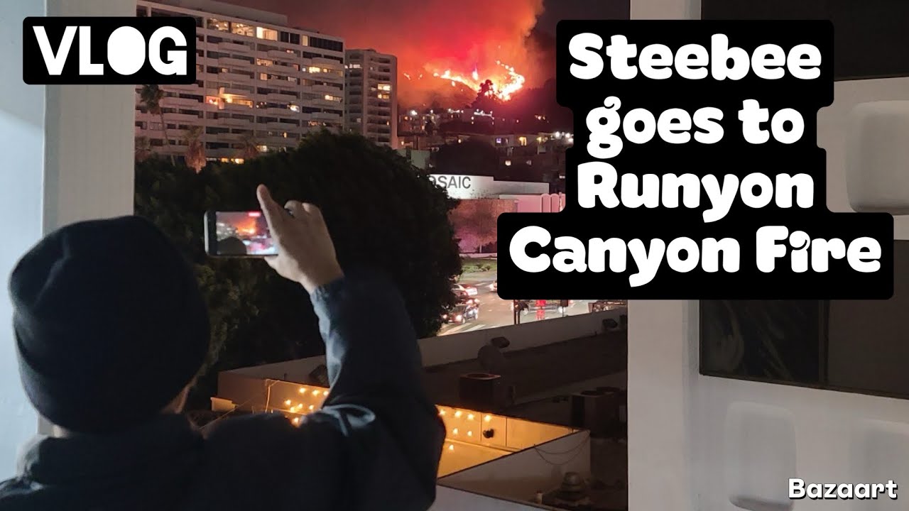 Steebee goes to Runyon Canyon Fire (VLOG)