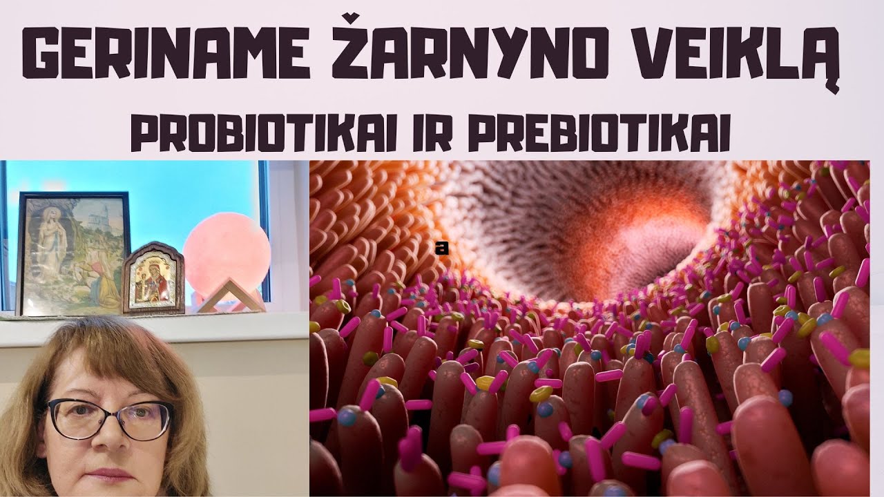 Geriname žarnyno veiklą | Probiotikai bei prebiotikai