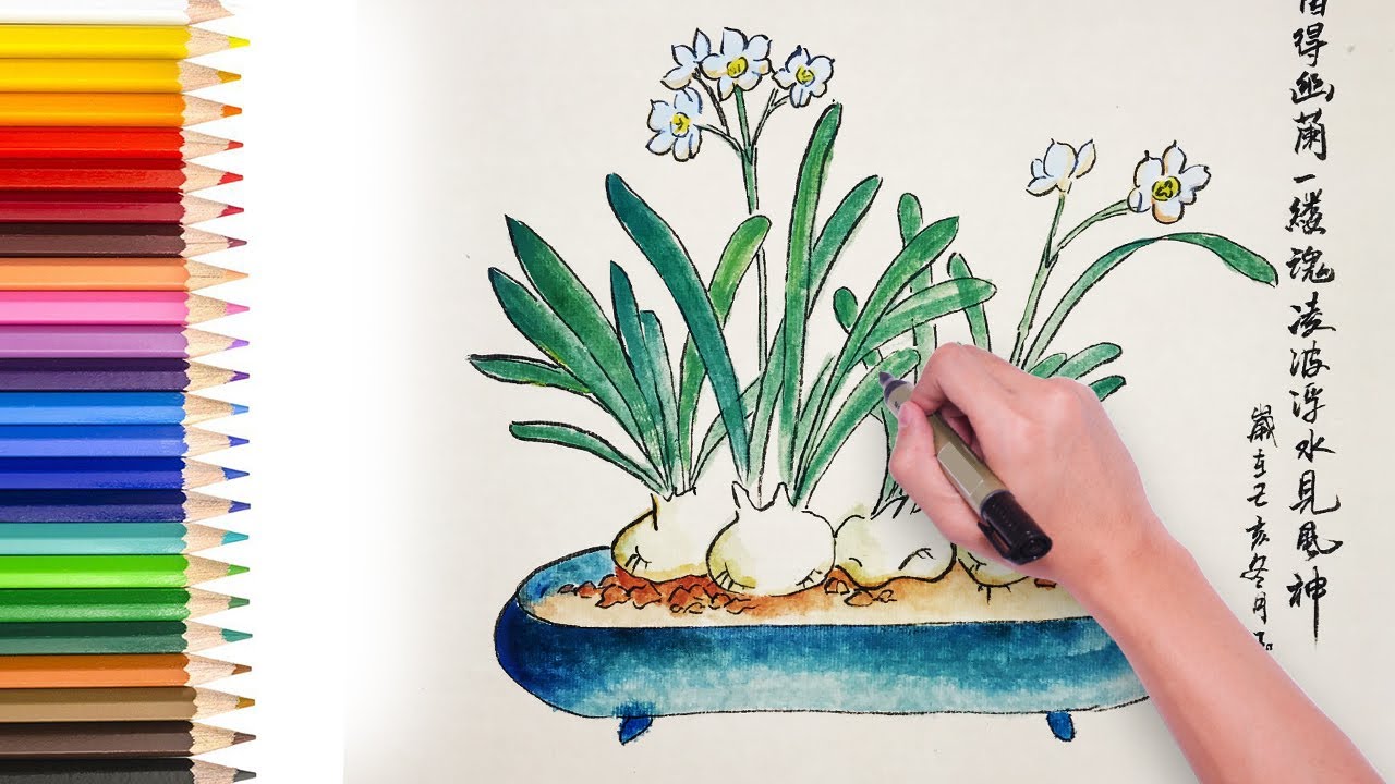 Painting Narcissus Flower with Vase using Chinese Color, Chinese Painting Tutorial 国画初级教程 - 如何画水仙花