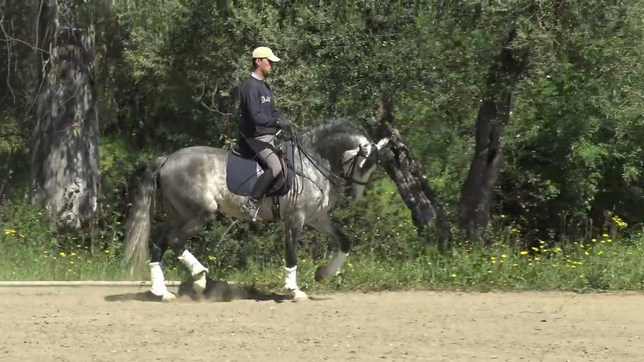 SELL PRE LUKAKE MOMO