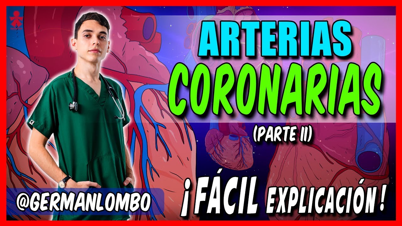 ARTERIAS CORONARIAS ( IRRIGACI&Oacute;N DEL CORAZ&Oacute;N )