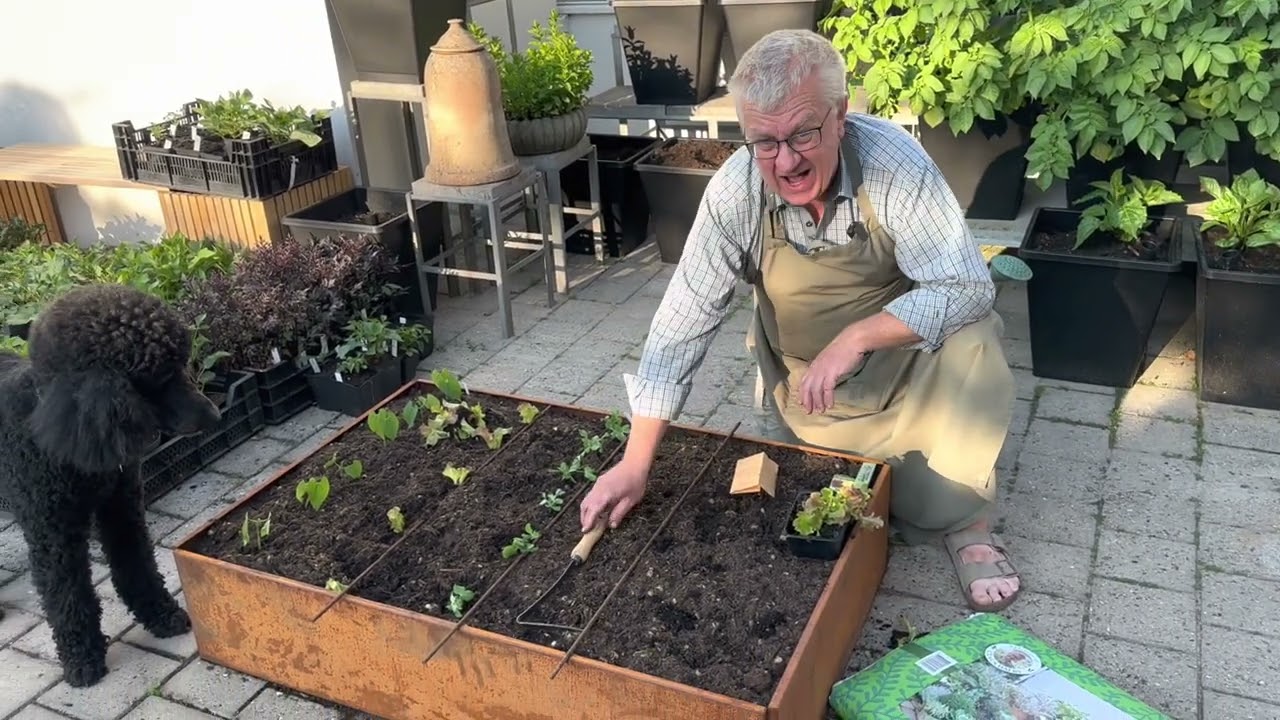 Plantning i højbede