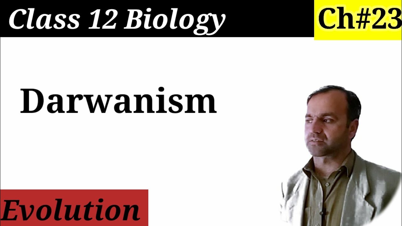 Darwinism class 12 Biology class 12 Biology | Evolution