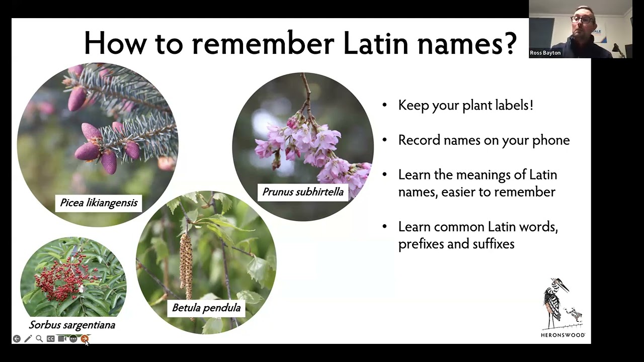 Botanical Latin