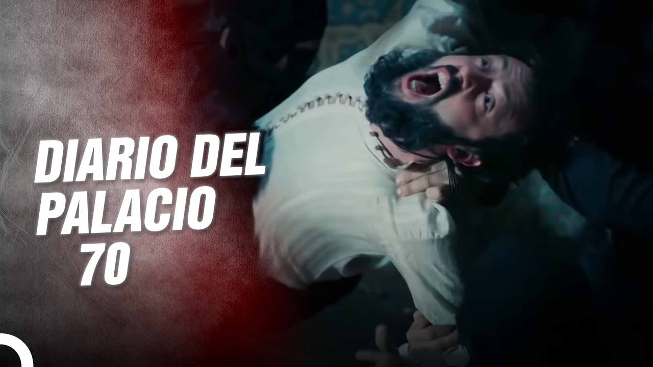 DIARIO DEL PALACIO 70 | &iquest;C&oacute;mo Muri&oacute; ibrahim?