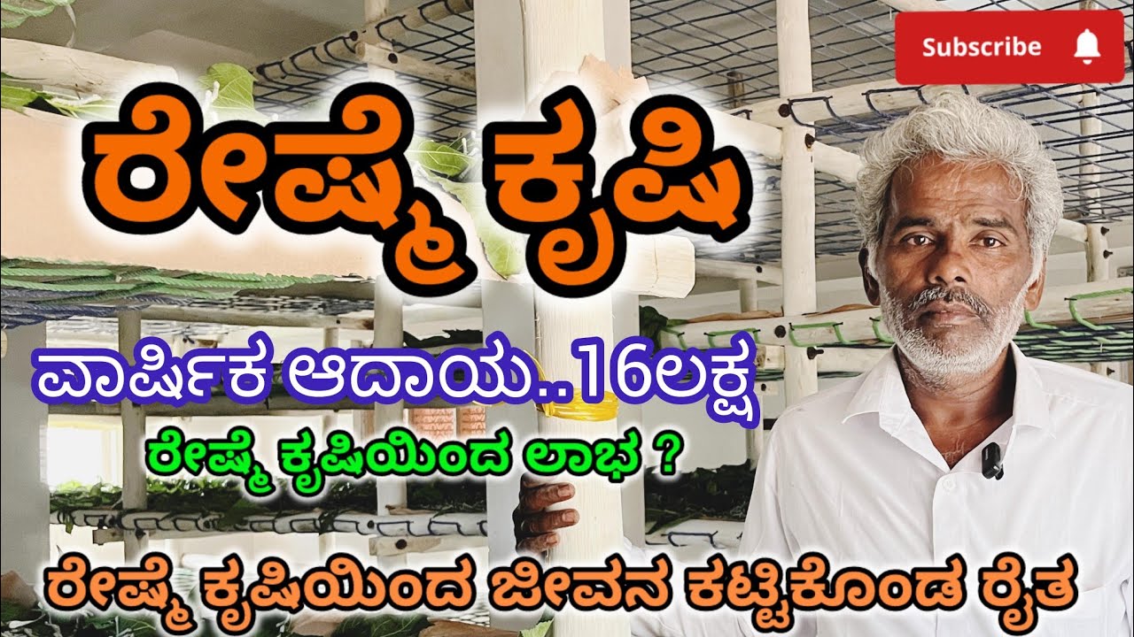 ರೇಷ್ಮೆ ಕೃಷಿ 🌱| ರೇಷ್ಮೆ ಕೃಷಿಯಿಂದ ಲಕ್ಷಾಂತರ ಲಾಭ ? | Reshme Krishi details in Kannada 