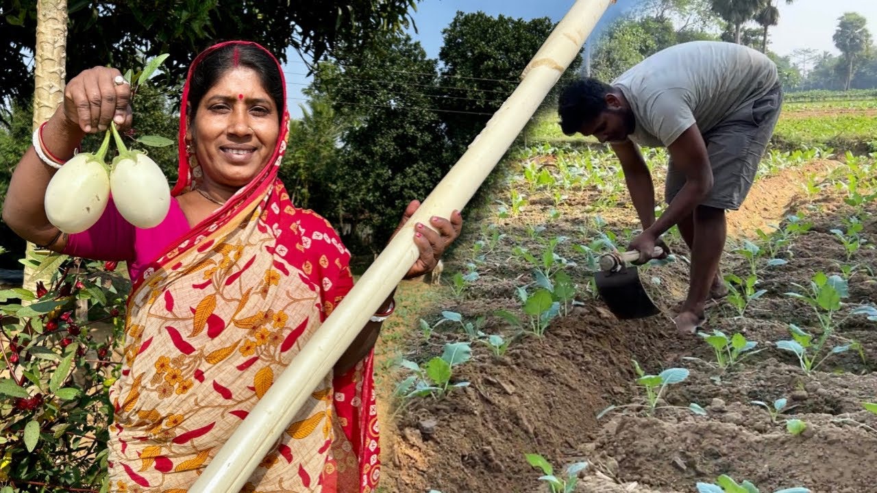 আমাদের গ্রামীণ জীবন-যাপন ।। Our rural lifestyle.