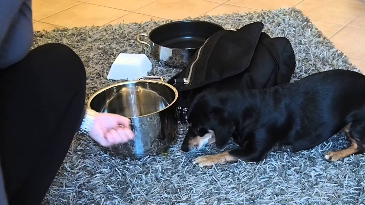 Zielobjektsuche (ZOS) Anf&auml;ngertraining 2