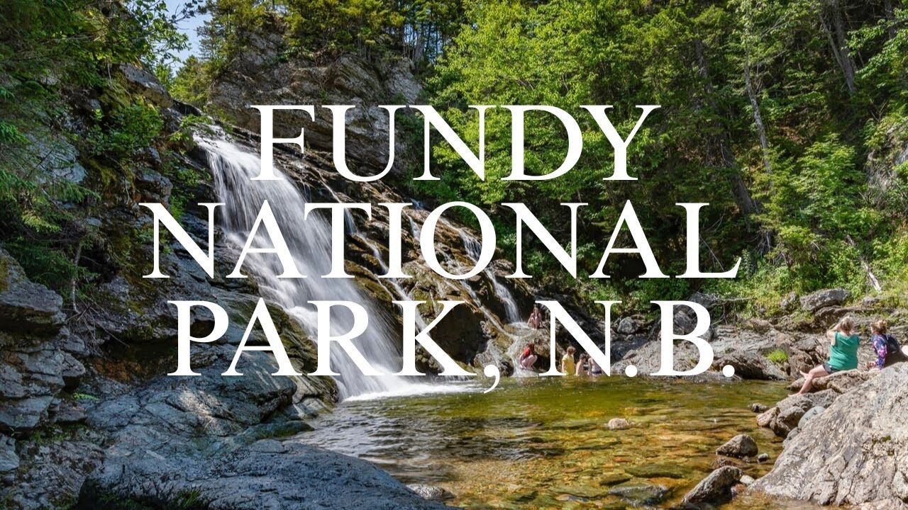 Fundy National Park, N.B. Canada