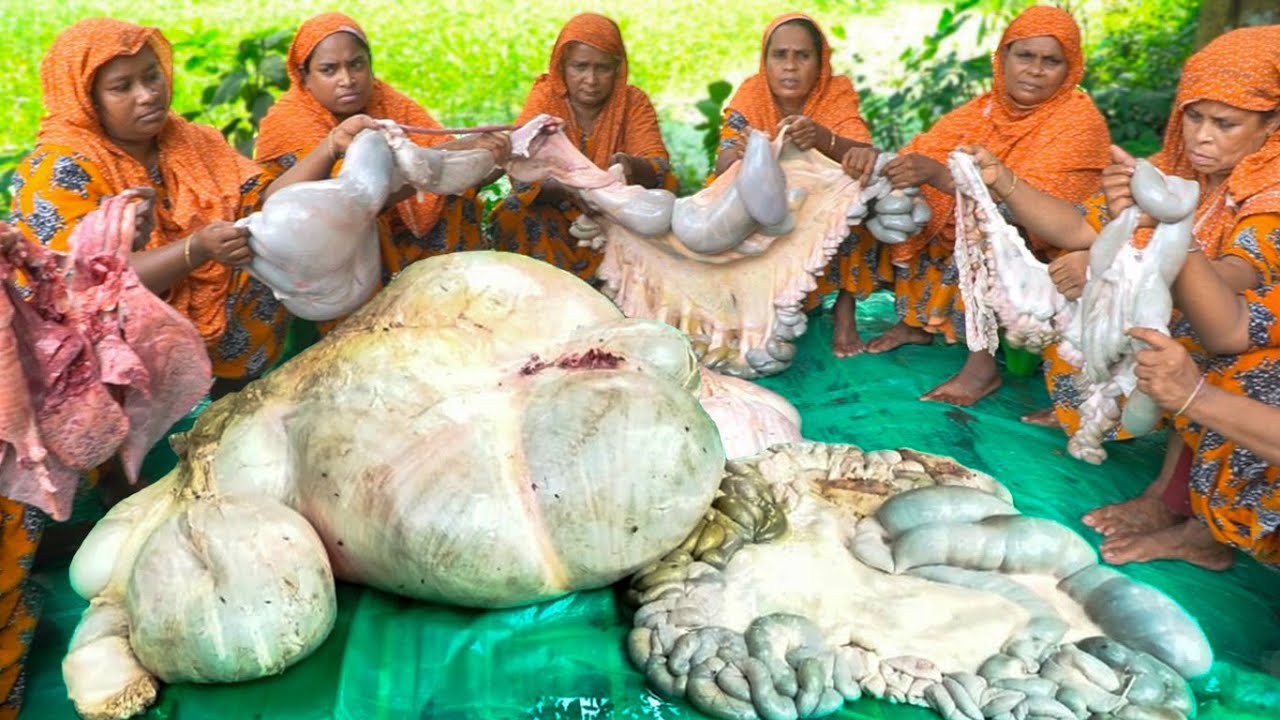 Traditional Beef Intestine Curry Recipe | গ্রামীণ রান্না | Village Women Cooking