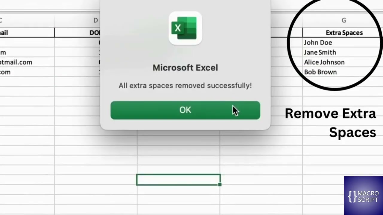 Automate Excel Tasks with Ease | How Macro Script Transforms Your Workflow