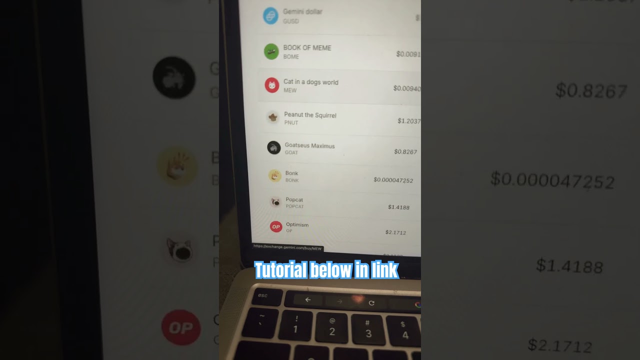 GEMINI Exchange Tutorial (link below)