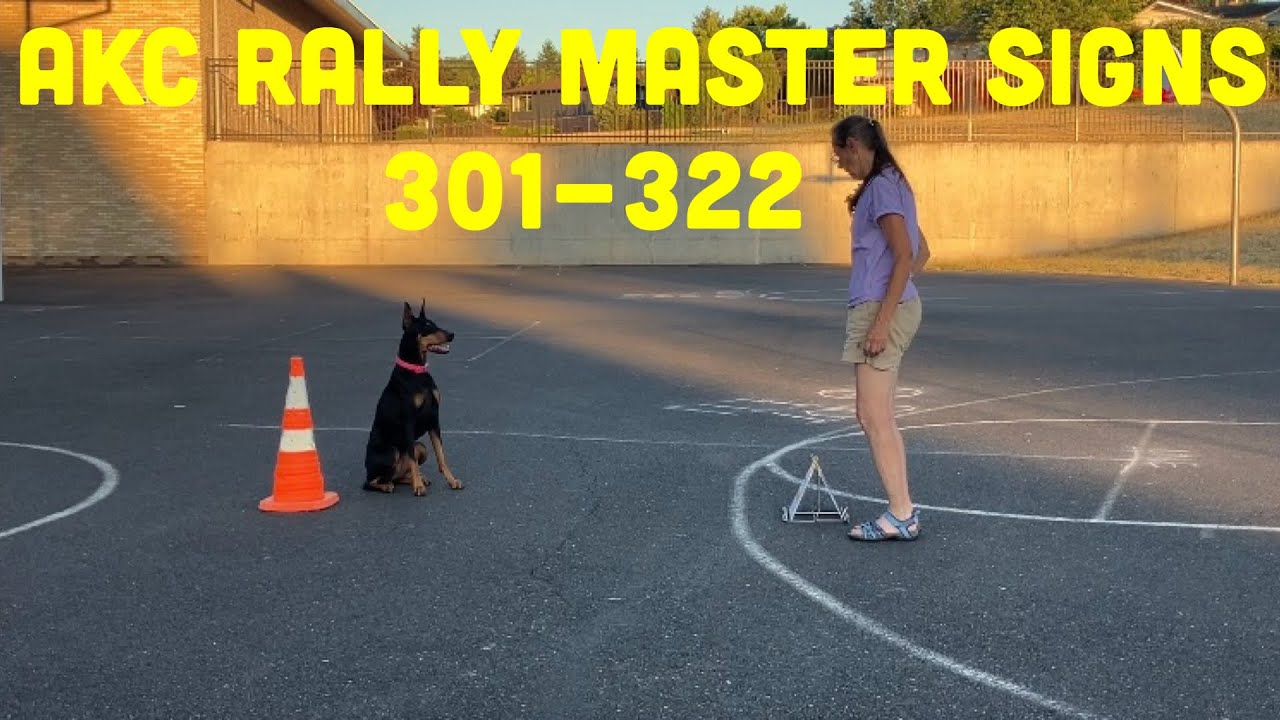 All AKC Rally Master Signs Explained and Demonstrated