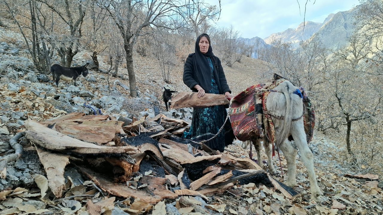 🏔️🔥 Living in the Cold of the Zagros: The Art of Collecting Firewood from the Passing Mountains
