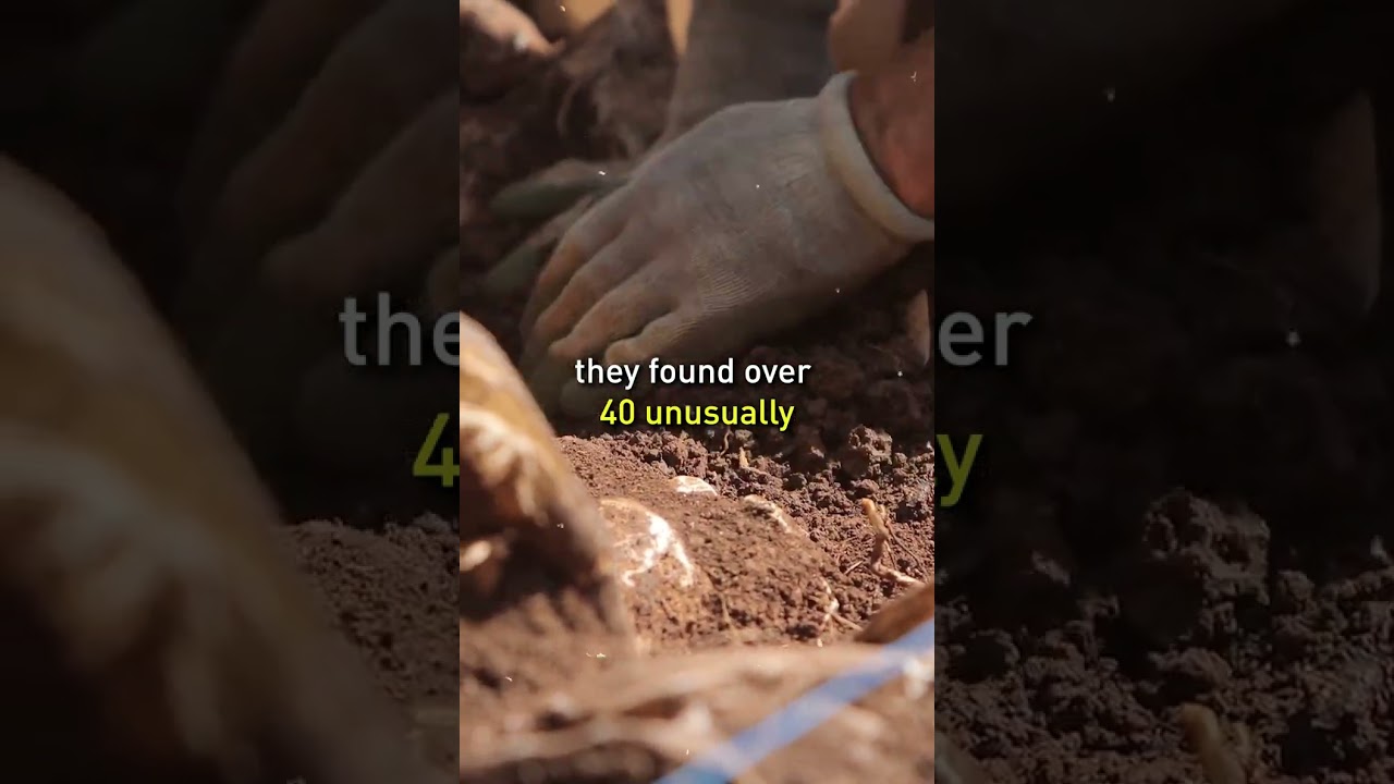Over 40 Giant Skeletons Found In Nevada #shorts