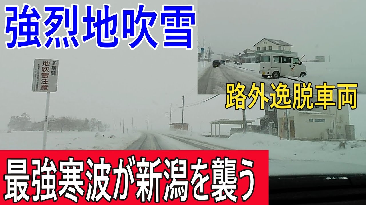 【強烈寒波襲来】地吹雪の新潟県道30号を走行して道の駅あらいを目指す!!