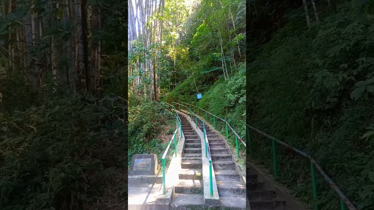 Menuju Bukit Turgo Sleman #travel #nature #yogyakarta