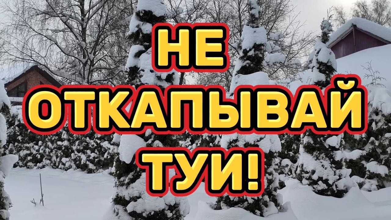 НЕ ОТКАПЫВАЙ РАСТЕНИЯ! ❄️🌿                                   #снегопад #зима #сад #дача