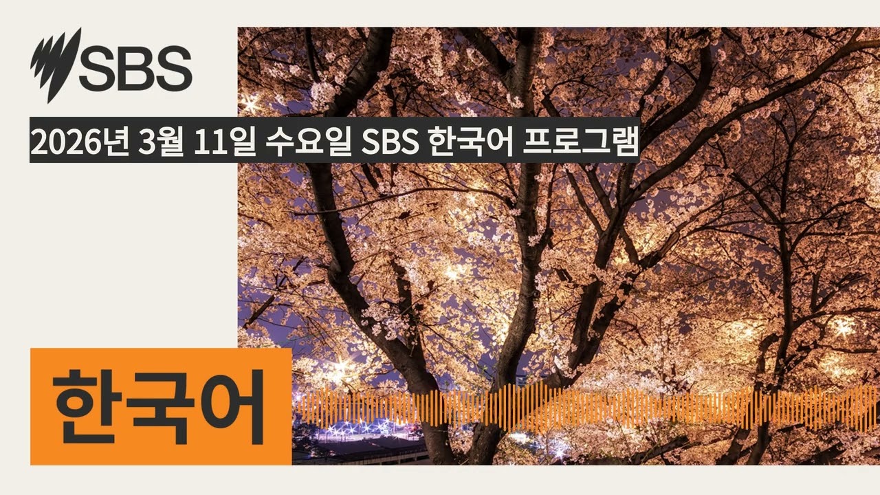 2026년 3월 11일 수요일 SBS 한국어 프로그램 | SBS Korean - SBS 한국어 프로그램