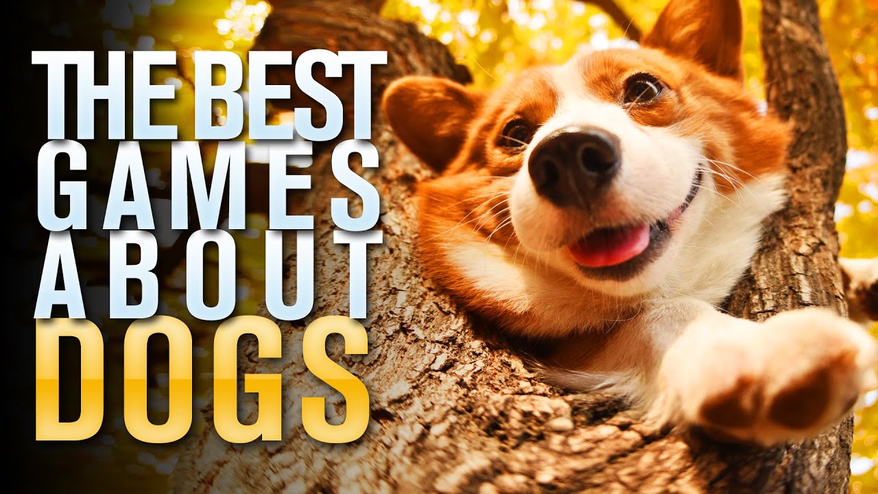 The Best Dogs Games on PS, XBOX, PC