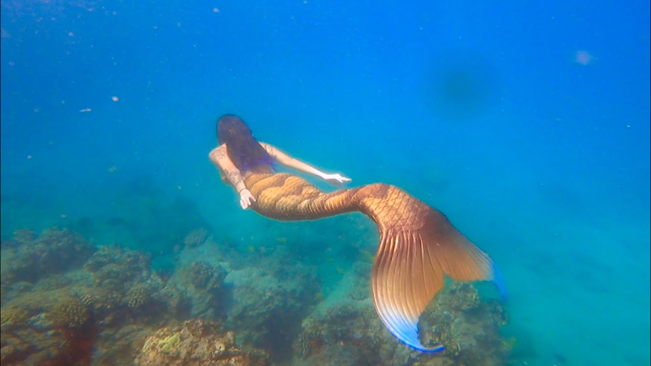 Island siren- Serenity Beneath the Sea