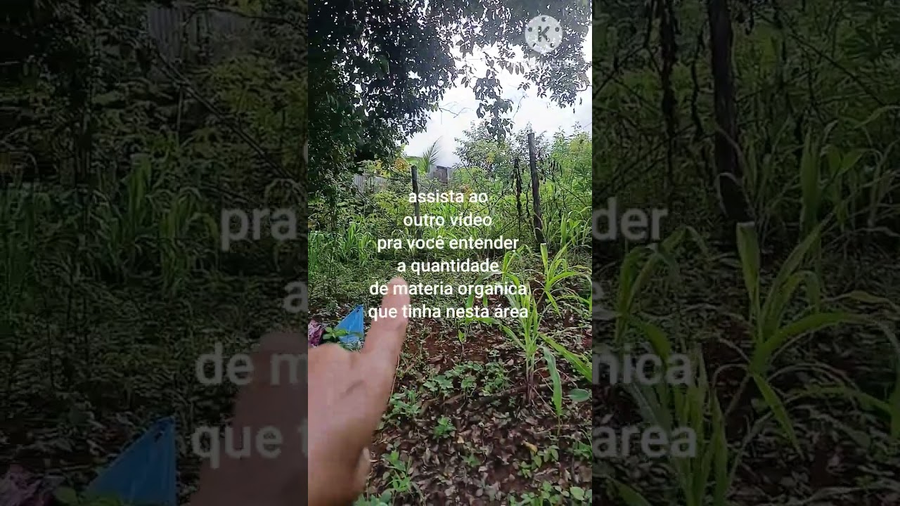 Chegando terra no milho.