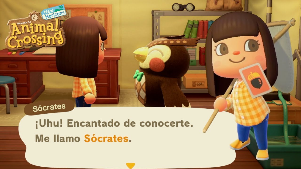 Cómo conseguir las HERRAMIENTAS y el MUSEO en Animal Crossing New Horizons